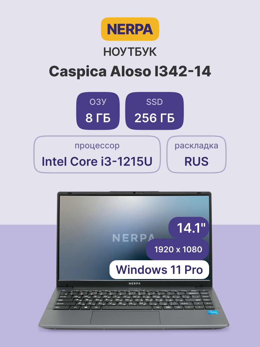 Ноутбук Nerpa Caspica I342 (I342-14MB082602G)